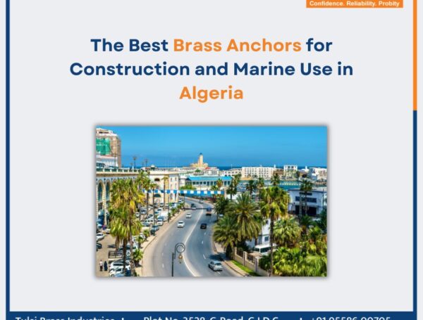 The Best Brass Anchors for Construction and Marine Use in Algeria