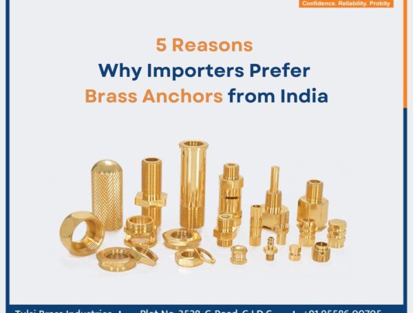 5 Reasons Why Importers Prefer Brass Anchors from India